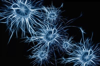 Determine Cell Viability and Location